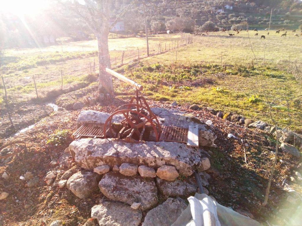 Casa Do Soito Otel Mangualde Dış mekan fotoğraf
