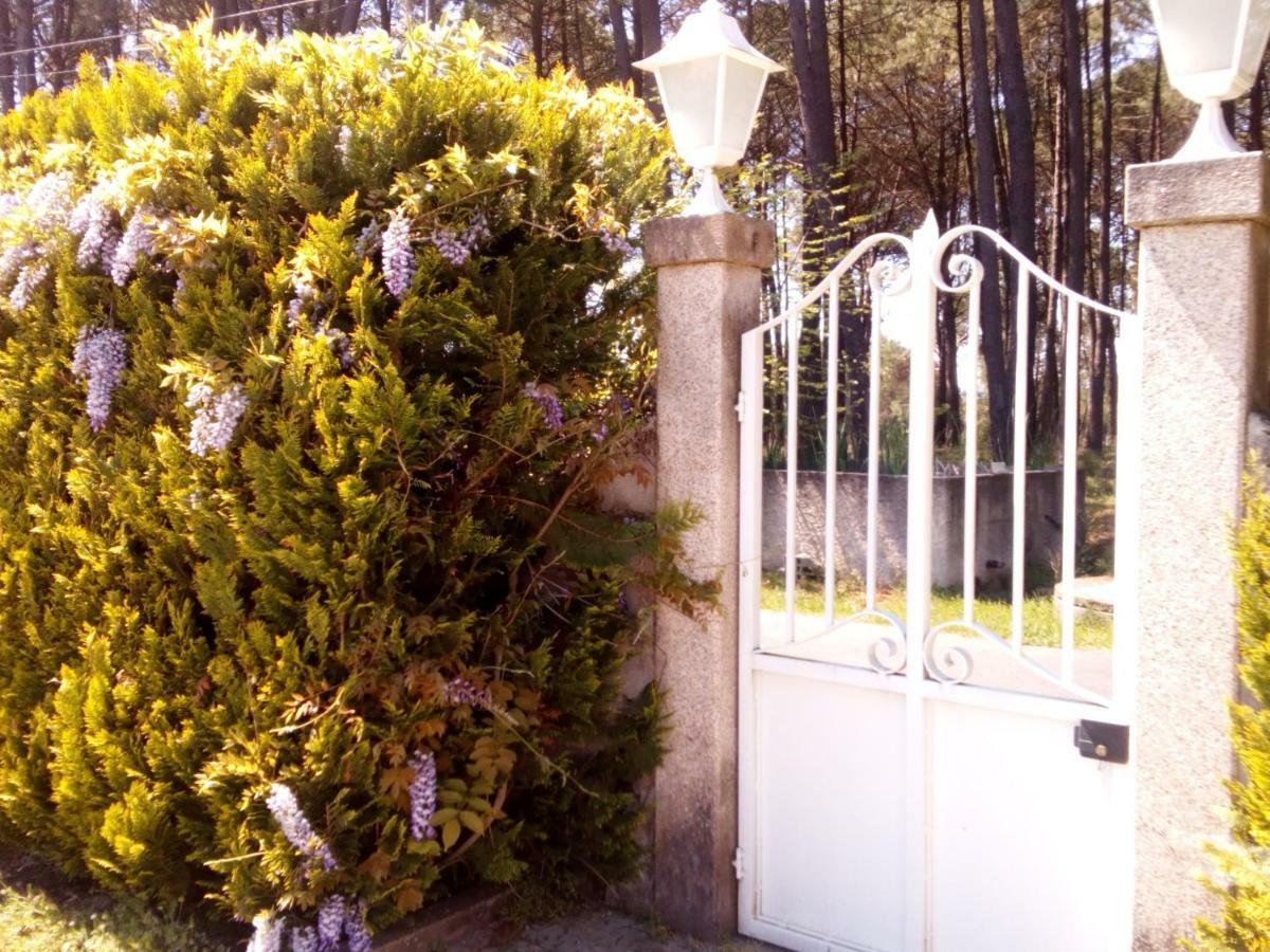 Casa Do Soito Otel Mangualde Dış mekan fotoğraf