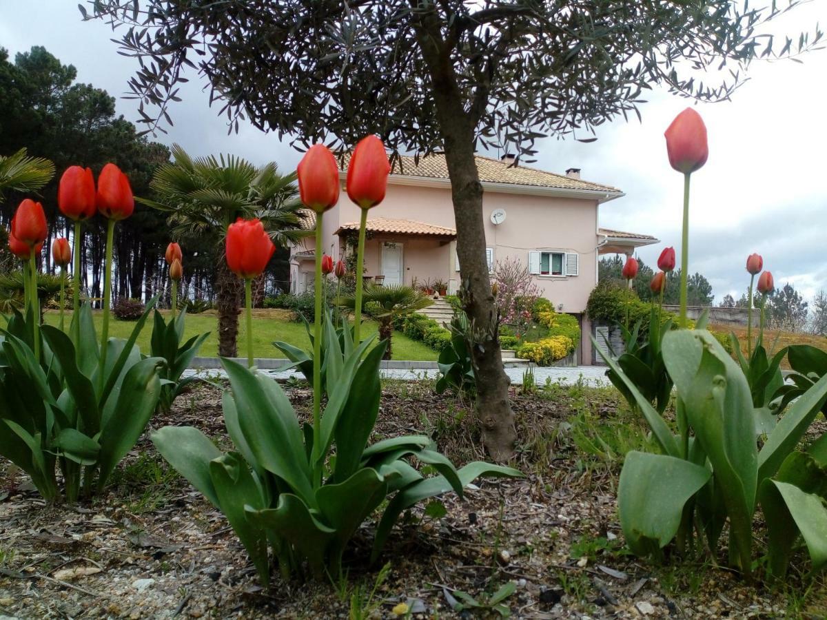 Casa Do Soito Otel Mangualde Dış mekan fotoğraf