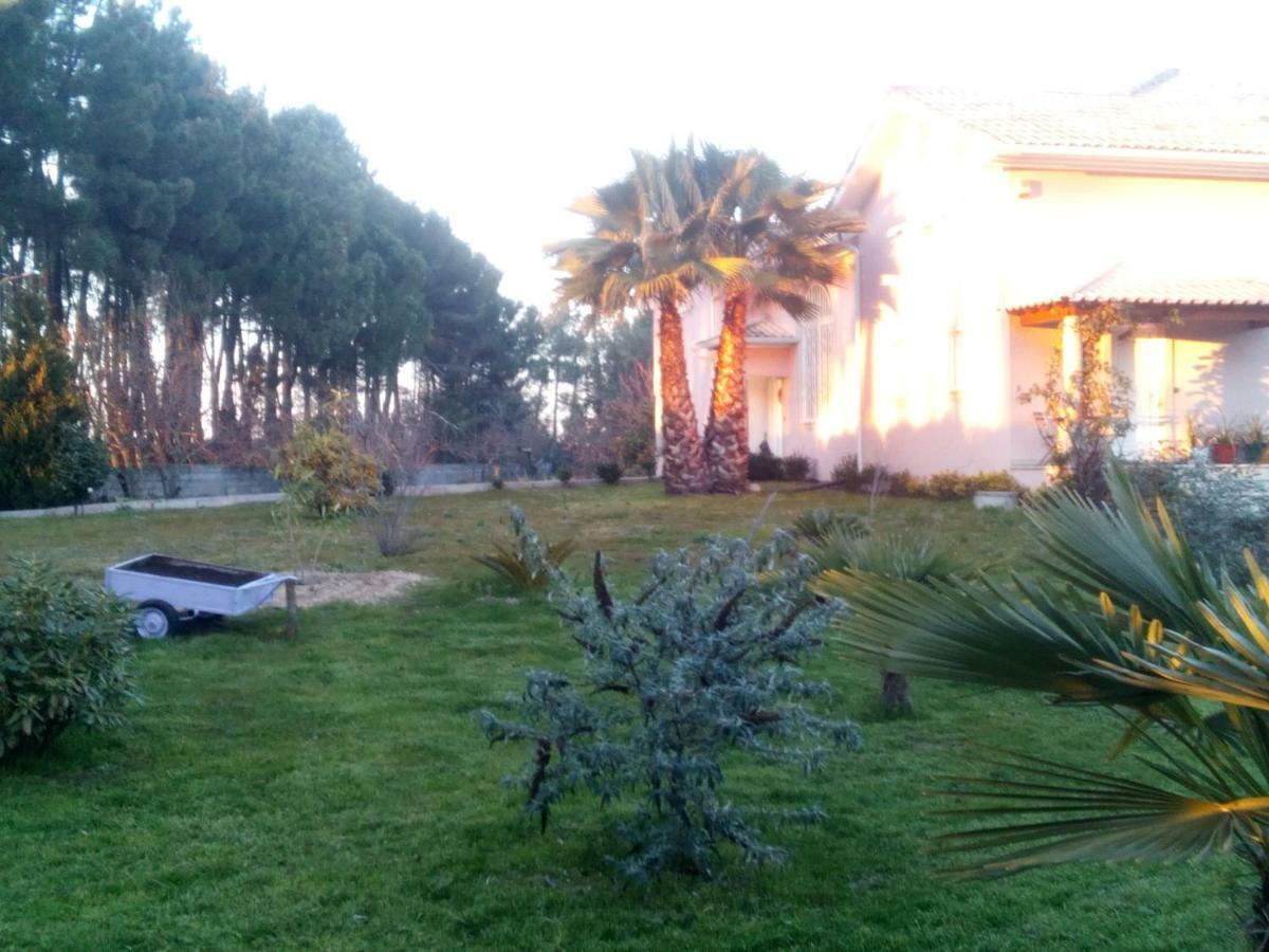 Casa Do Soito Otel Mangualde Dış mekan fotoğraf
