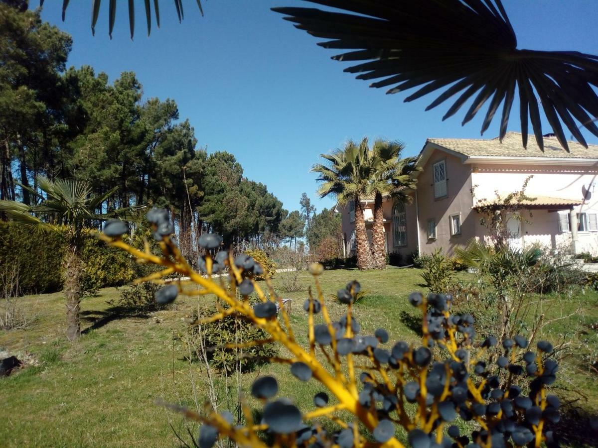 Casa Do Soito Otel Mangualde Dış mekan fotoğraf
